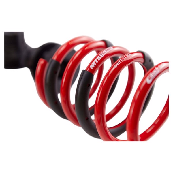 eng_pl_Coilover-Suspension-Street-MTSGWFO01-28356_1