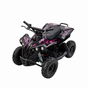 Mini EL ATV Sport 1000W - Pink