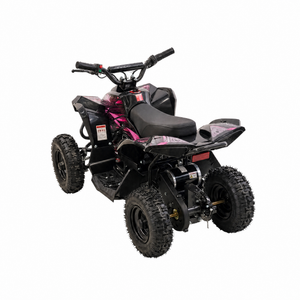 Mini EL ATV Sport 1000W - Pink