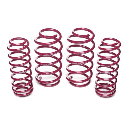 Vogtland Sænkningssæt BMW X5 